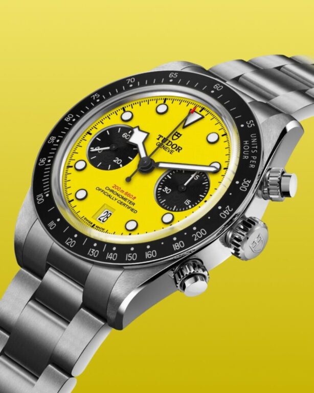 Desde principios de los años 70, TUDOR ha estado creando cronógrafos con propósito. Estos relojes sentaron las bases de una plataforma que continúa evolucionando, impulsada por la ambición técnica y un espíritu audaz.

#TudorWatch #BornToDare