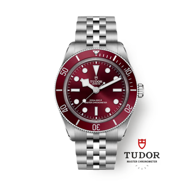 TUDOR BLACK BAY 58 39 MM