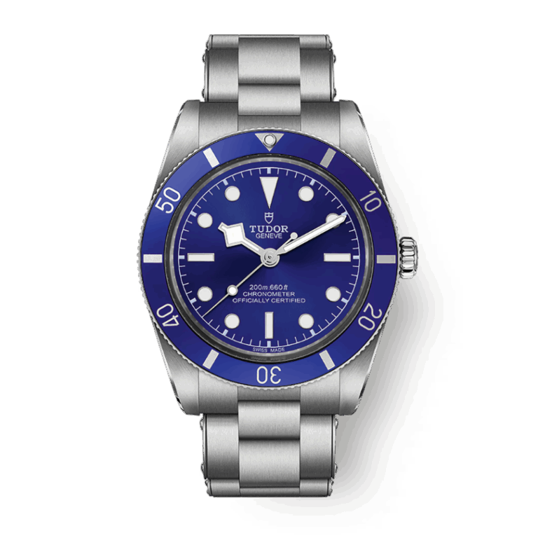 TUDOR BLACK BAY 54 37MM